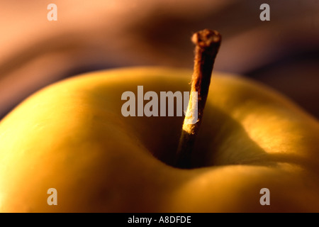 Tige de pomme verte et de close up Banque D'Images