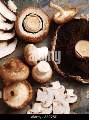 Plusieurs variétés de champignons sur fond d'ardoise Banque D'Images