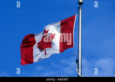 Le drapeau du Canada Canada Banque D'Images