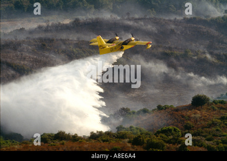 Vue aérienne d'un avion Bombardier d'eau Canadair feu arrosant de l'eau sur un incendie de forêt, Provence, France, Europe, Banque D'Images