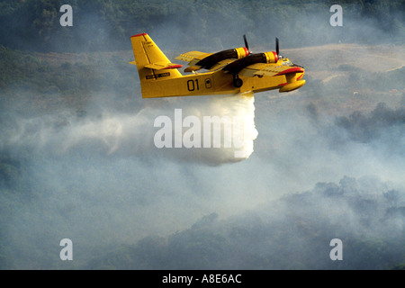 Vue aérienne d'un avion Bombardier d'eau Canadair feu arrosant de l'eau sur un incendie, la fumée des incendies de forêt, Provence, France, Europe, Banque D'Images