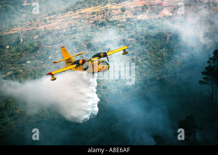 Vue aérienne d'un avion Bombardier d'eau Canadair feu arrosant de l'eau sur un incendie, la fumée des incendies de forêt, Provence, France, Europe, Banque D'Images