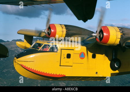 Vue aérienne d'un bombardier d'eau Canadair feu avion en vol, le pilote à la recherche d'appareil photo, Provence, France, Europe, Banque D'Images