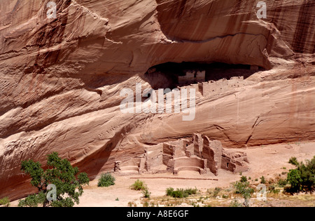 Logement dans les falaises du canyon de Chelly National Monument Arizona USA Banque D'Images