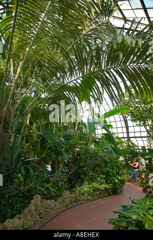CHICAGO Illinois Couple on chemin dans Palm House at Lincoln Park Conservatory piscine jardin botanique Banque D'Images