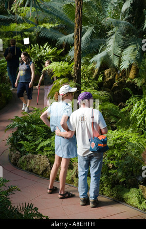 CHICAGO Illinois Visiteurs en chambre fougère au Lincoln Park Conservatory couple sur le chemin à l'intérieur, jardin botanique Banque D'Images