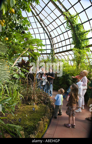 CHICAGO Illinois Chemin dans Palm House at Lincoln Park Conservatory piscine jardin botanique de pamplemousse les visiteurs observer tree Banque D'Images