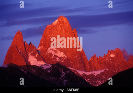 Alpenglow 'Mont Fitz Roy' (3405m) appelé aussi "Chalten". Granite Peak dans le sud de la Patagonie andine, Santa Cruz Banque D'Images