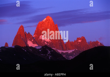 Alpenglow 'Mont Fitz Roy' (3405m) appelé aussi "Chalten". Granite Peak dans le sud de la Patagonie andine, Santa Cruz, Argentine Banque D'Images