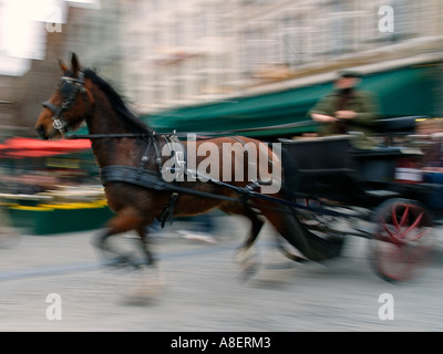 Motion image floue d'un cheval et un chariot à cheval dans le centre historique de la ville de Brugge Bruges Belgique Banque D'Images