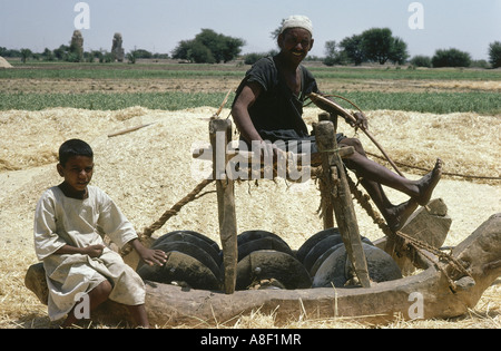 Géographie / voyages, Egypte, gens, agriculture / agriculture, battage des hommes et des enfants, agriculteurs, travail des enfants, , Banque D'Images