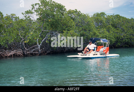 Les touristes dans un pédalo à travers la mangrove près de Guanica sud-ouest de Porto Rico Banque D'Images