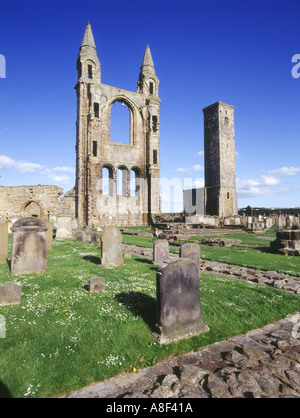 La CATHÉDRALE DE ST ANDREWS FIFE dh mur est tours et règles St tour carrée Ecosse Banque D'Images