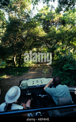 Des guides professionnels voir le chemin à parcourir dans une terre ouverte drover au Zimbabwe, Mana Pools National Park. Banque D'Images