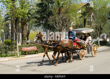 Cheval et balade en calèche sur Frederikshavn, l'une des îles des Princes, Turquie Banque D'Images