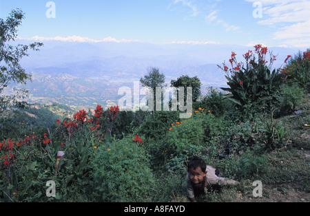 Boy hiding népalais en bush à Dhulikhel environs vallée de Katmandou au Népal Banque D'Images