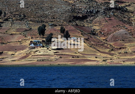 Scène agricole rive sud du Pérou vue d'un bateau sur le lac Titicaca, près de Puno Pérou Amérique du Sud Banque D'Images
