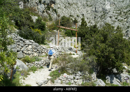 Dans le jardin botanique au parc de la nature Biokovo Makarska Riviera Côte Adriatique Croatie Dalmatie Adria Banque D'Images