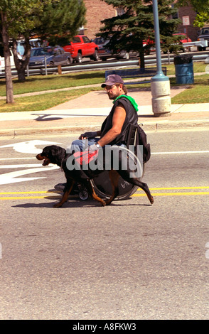 Homme handicapé de 35 ans équitation dans fauteuil roulant avec chien-guide de travail sur rue. Sault Ste. Marie-France France Banque D'Images