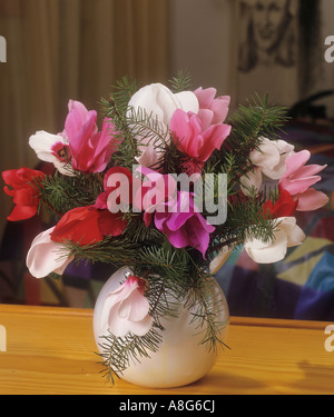 Bouquet de cyclamens Banque D'Images