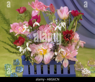 Avec bouquet de tulipes , anémone , Banque D'Images