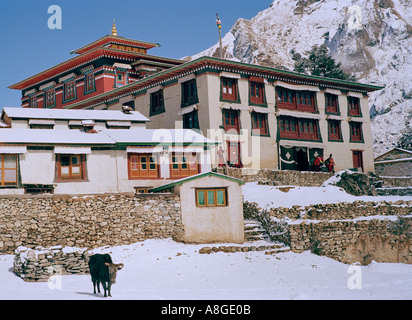 Voyage nature mondiale. Le Monastère de Tengboche dans les contreforts des montagnes de l'Himalaya au Népal en Asie. Aventure intrépide naturelles Wanderlust Évasion Banque D'Images