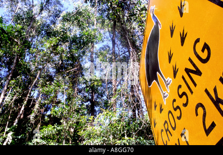 Un panneau routier indiquant le danger pour passage à niveau près de Mission Beach casoars Far North Queensland Australie Banque D'Images