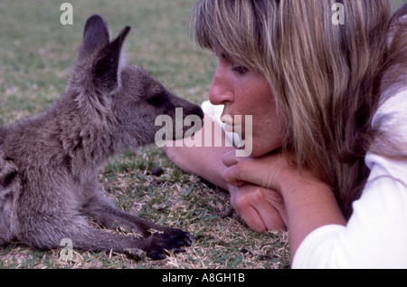 Jeune fille se faire des amis avec un servile gris juvéniles Macropus giganteus Murramarang Kangourou National Park NSW Australie Banque D'Images