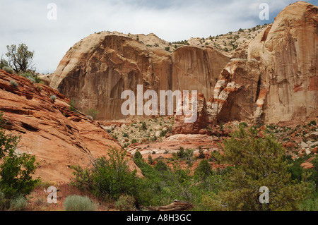 Paysage sur la piste de Calf Creek Falls Banque D'Images