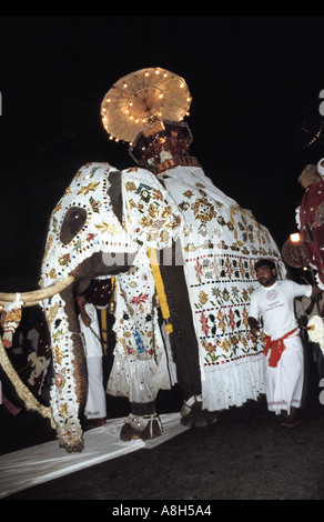 Dans l'énorme éléphant parade février à Colombo Sri Lanka Banque D'Images