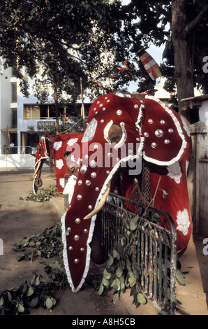 Habillé et prêt pour l'énorme défilé de février à Colombo Sri Lanka Banque D'Images