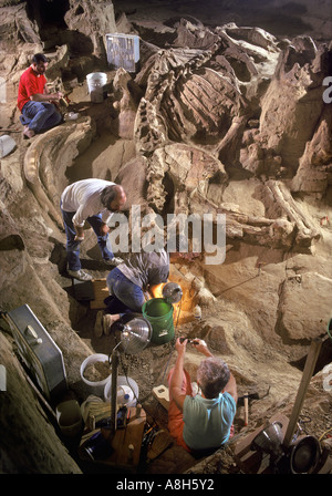 Les paléontologues d'excaver les restes de mammouths colombiens Le Mammoth Site Dakota du Sud Banque D'Images