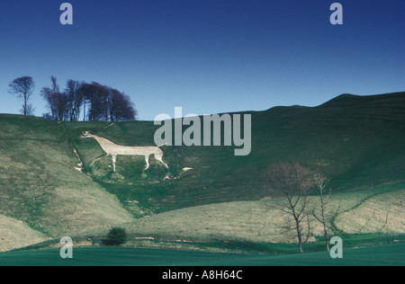 Cherhill White Horse, Chalk Hill Carving. Cherhill, Wiltshire Angleterre Royaume-Uni 1993 1990s HOMER SYKES Banque D'Images