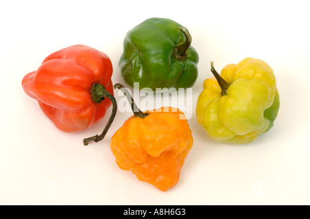 Produire des légumes supermarché typique acheté piments Scotch Bonnet Banque D'Images