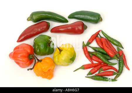 Produire des légumes supermarché typique acheté mixed types de piments Banque D'Images