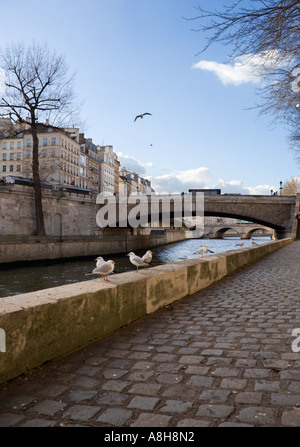 Le pont de la Tournelle sur la Seine - Paris, France Banque D'Images