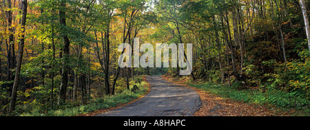 Country road serpente à travers le feuillage d'automne dans la région de White Mountains National Forest New Hampshire Banque D'Images