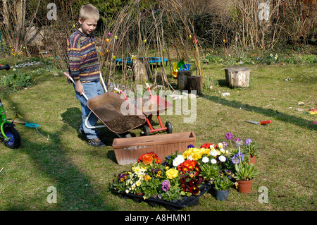 Un garçon de sept ans est de pousser une brouette avec terra à planter des fleurs au printemps Banque D'Images