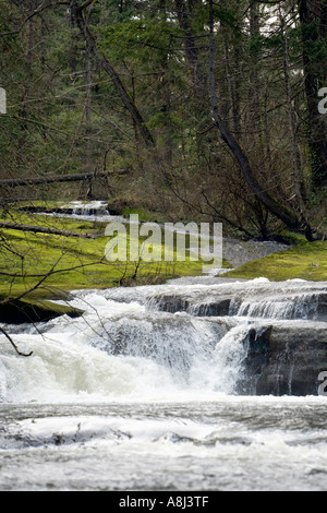 Cascades de la rivière meule parc Bowen Nanaimo Vancouver Island British Columbia Canada Banque D'Images