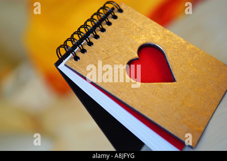 Journal intime Banque D'Images