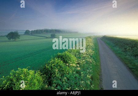 Charlton Lane pays Horethorne Somerset England UK Banque D'Images