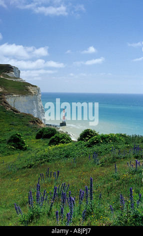 Beachy Head Lighthouse Banque D'Images