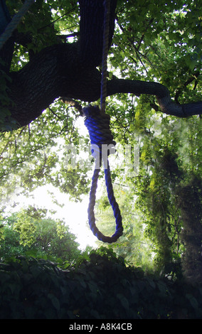 Hangmans noose in tree Banque D'Images