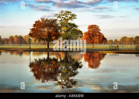 Scène tôt le matin de l'automne des arbres contre un lac en Angleterre Clapham Common Banque D'Images