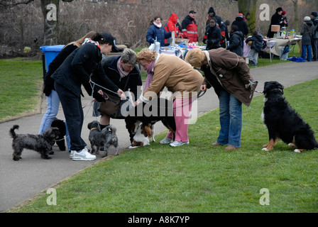Réunion du groupe des femmes et aux prises avec des chiens dans le parc. Banque D'Images