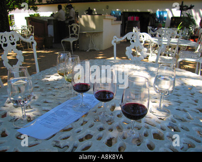 Libre de verres de vin mis en place pour la dégustation du vin au vignoble Boschendal Franschhoek Valley de l'Afrique du Sud Banque D'Images