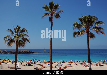 Plage de sable fin Playa de Amadores près de la station de vacances de Porto Rico situé sur la côte sud-ouest de l'île de Gran Canaria Espagne Banque D'Images