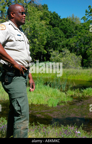 California Park Ranger dans Henry Coe State Park dans le Nord de la Californie USA Banque D'Images