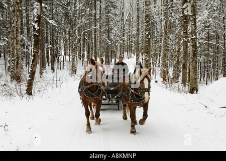 Traîneau à cheval, Haute-Bavière, Allemagne Banque D'Images