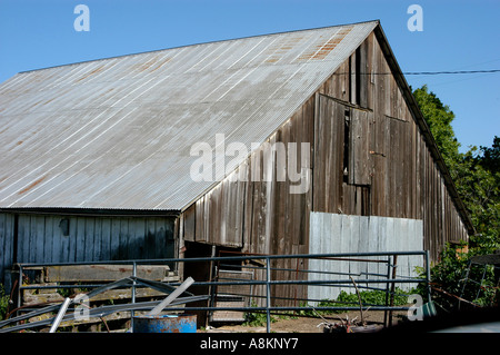 Old weathered barn avec une tôle de toit dans le Nord de la Californie. Banque D'Images